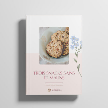 E-book : 3 snacks sains & malins
